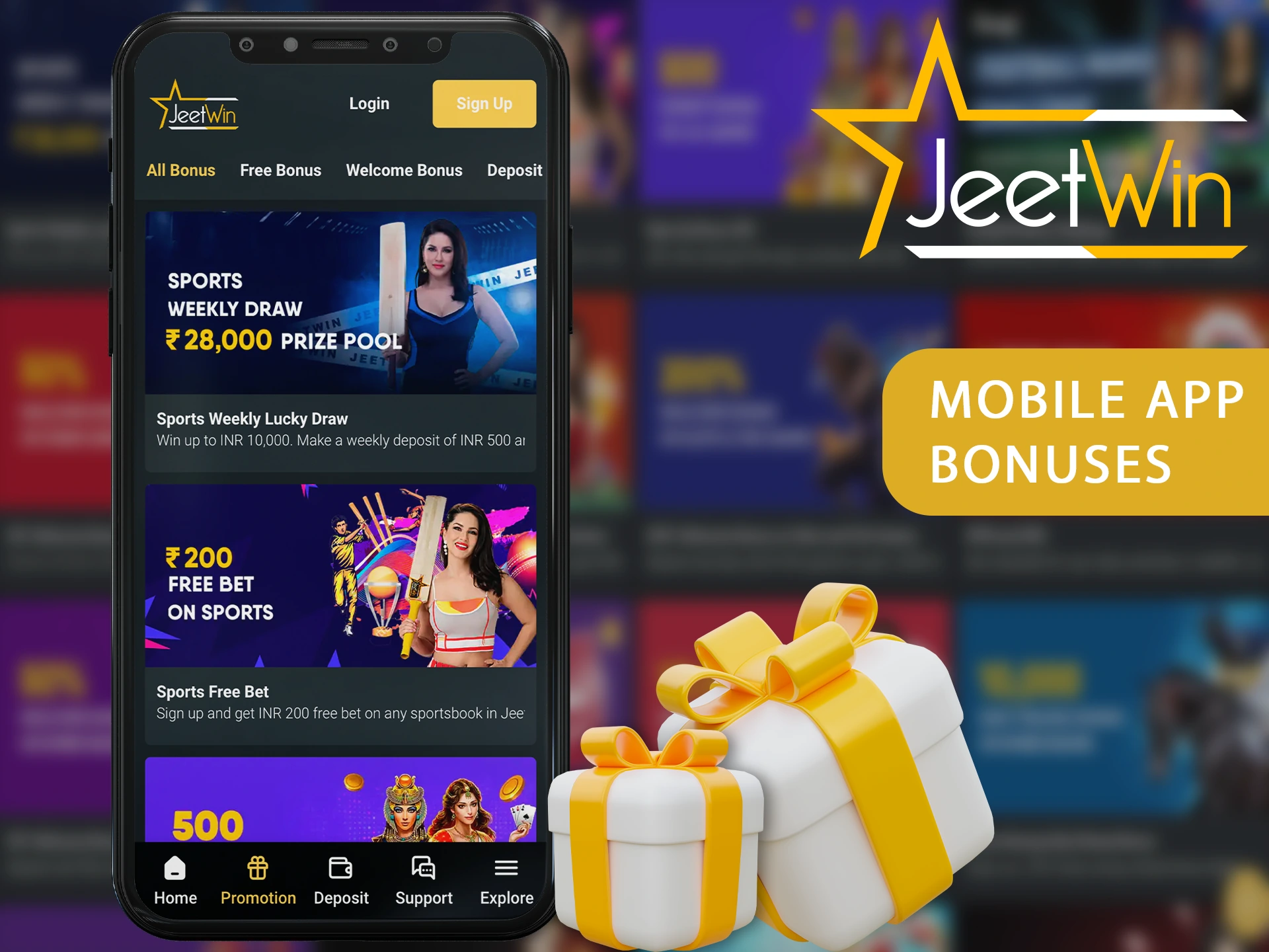 JeeTwin তরনা আবেদনের আবেদনপত্রের সাধারণ ত্রুটি কী রয়েছে?